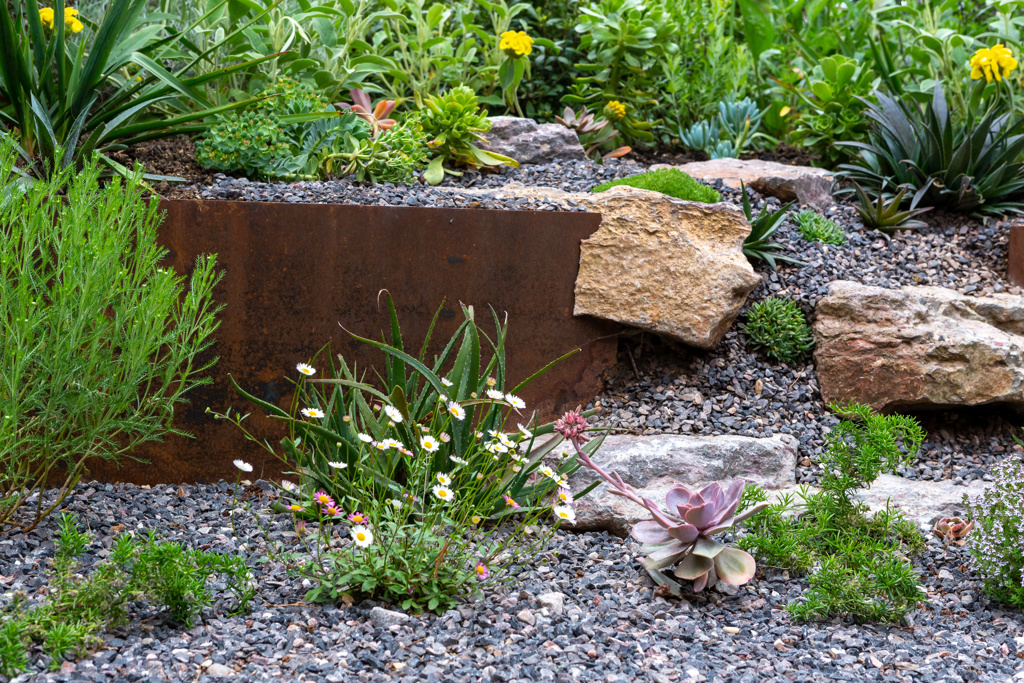 The Contemporary Courtyard Garden     