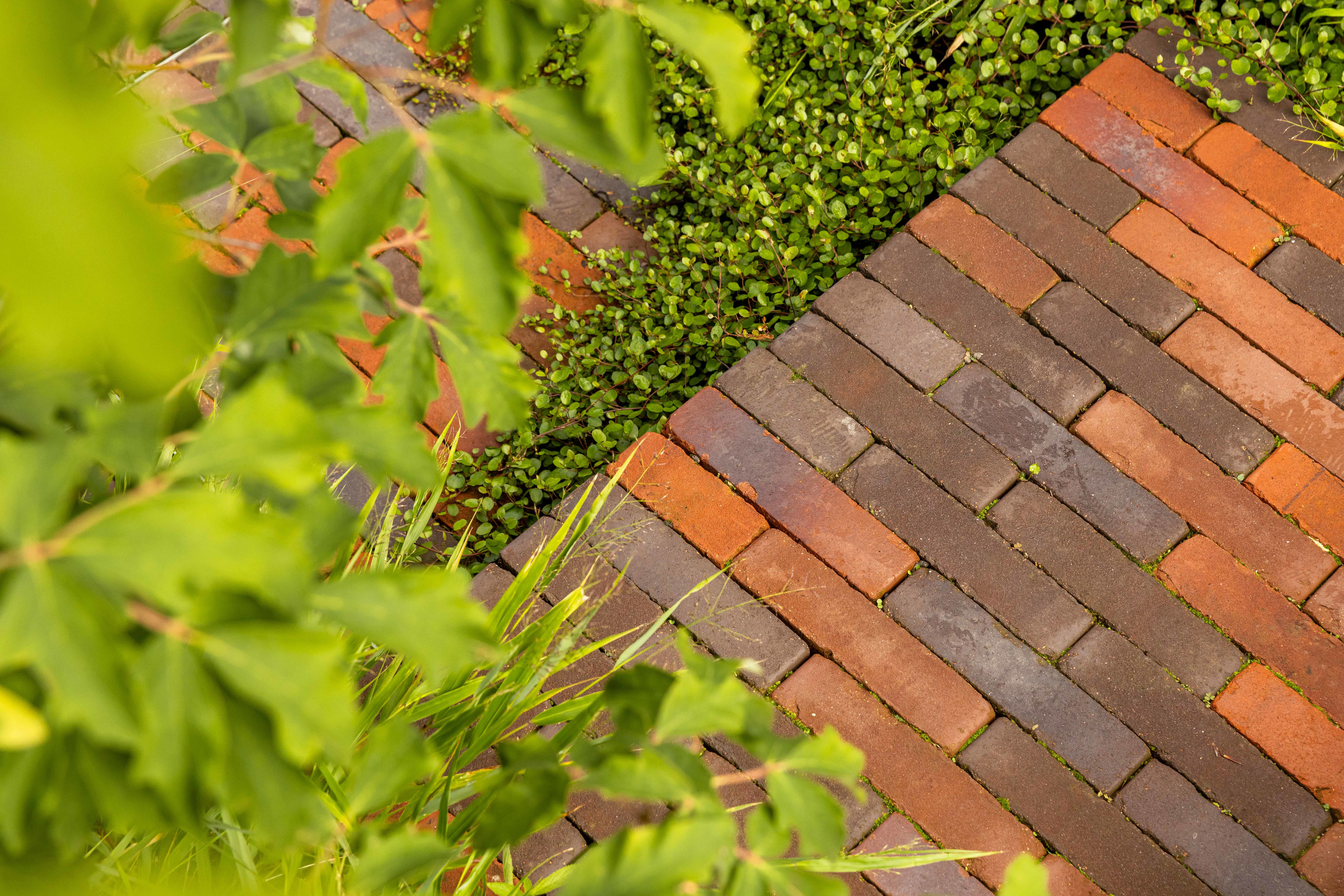 Clay pavers and planting