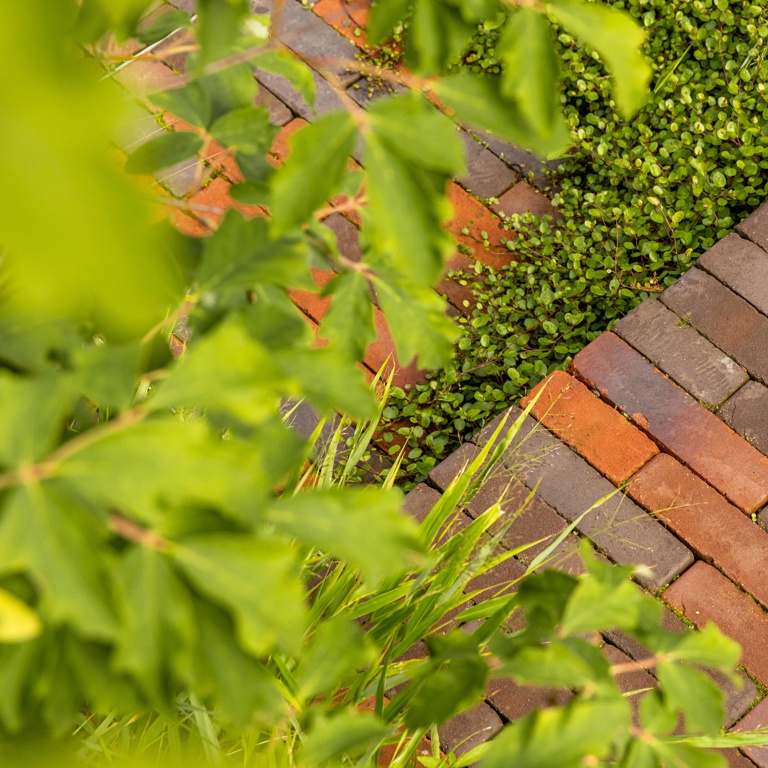 Clay pavers and planting