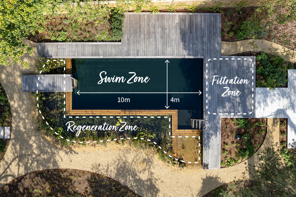 Dulwich Natural Pool