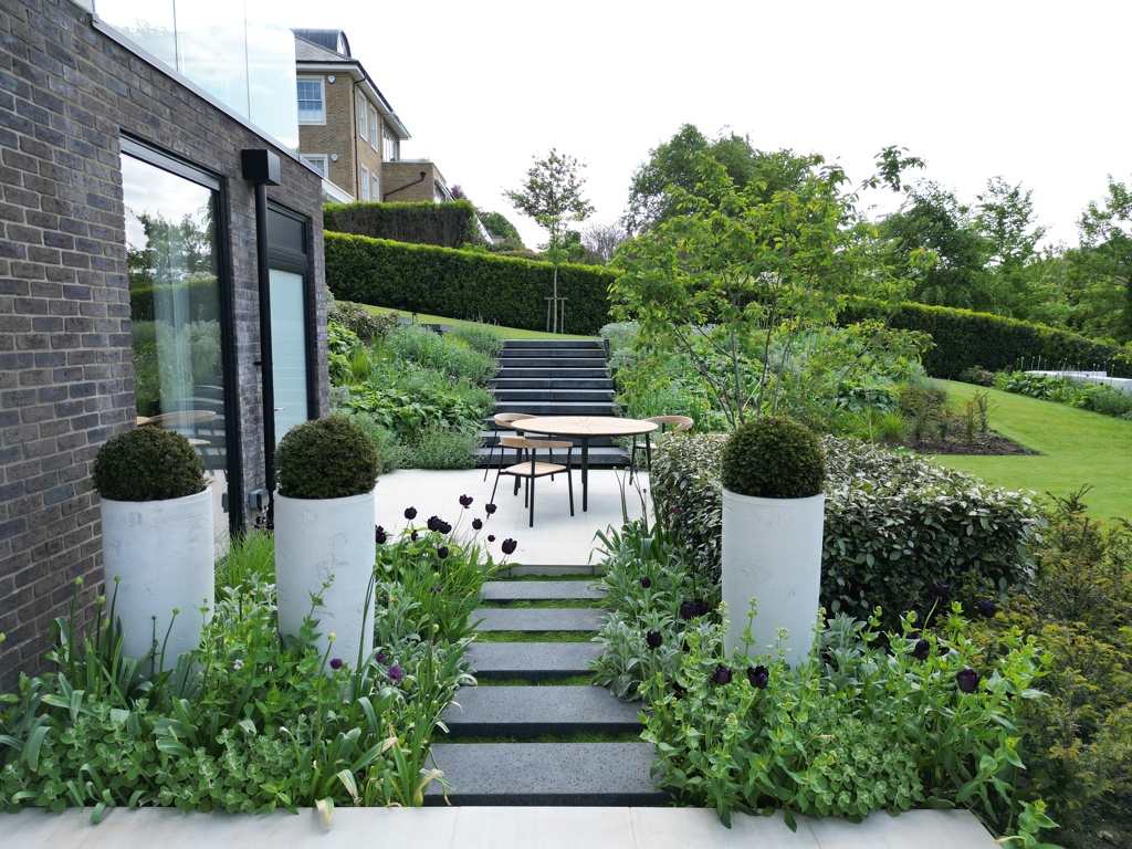 views of steps