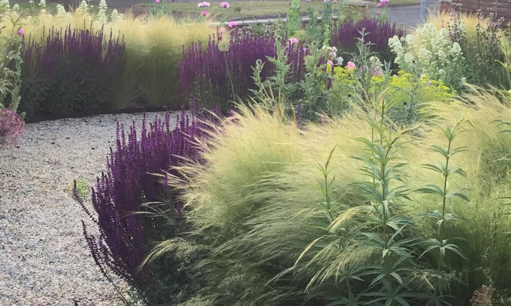 Naturalistic Garden 2