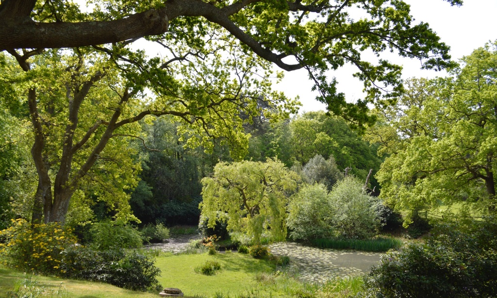 View to Existing Lake