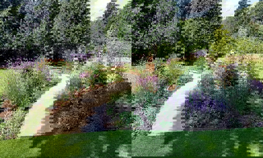 Pathways leading you through the garden