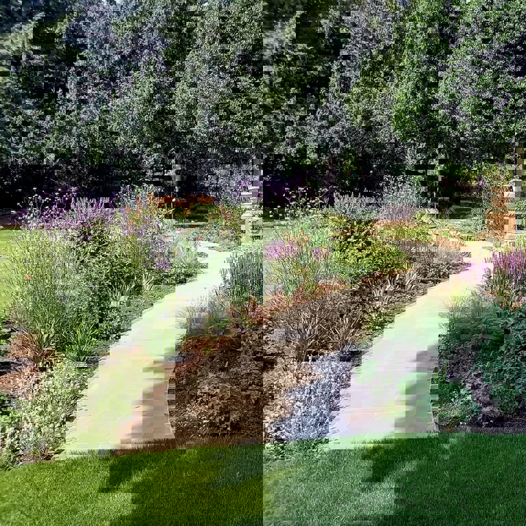 Pathways leading you through the garden