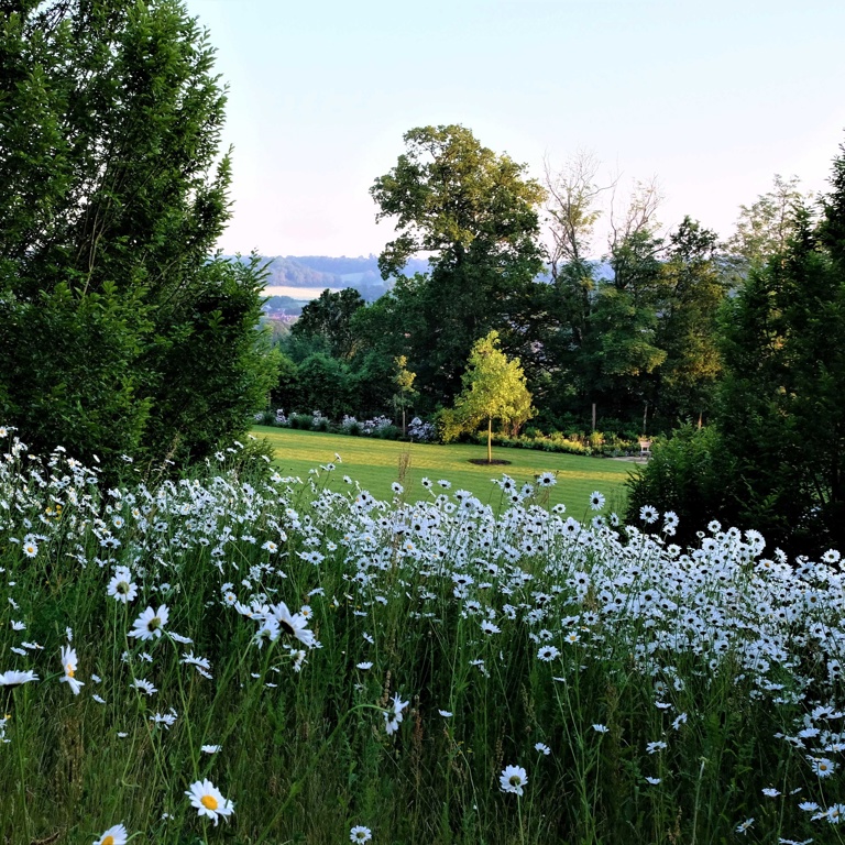 View over the lawn