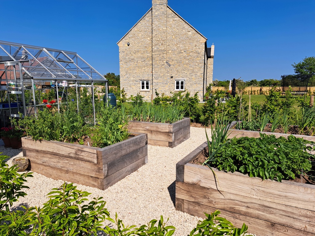 Vegetable garden