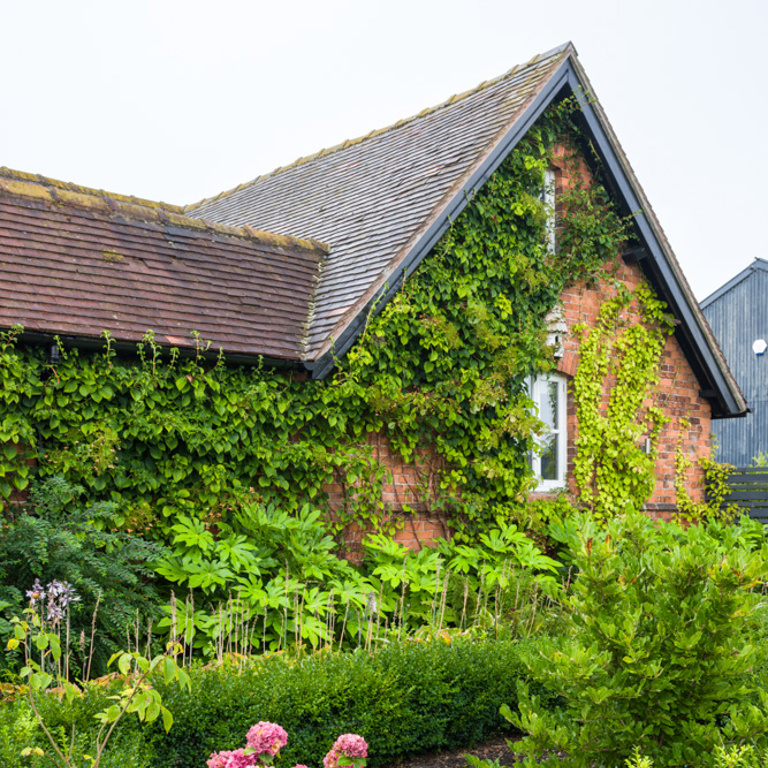 The Large Country Garden in Cheshire