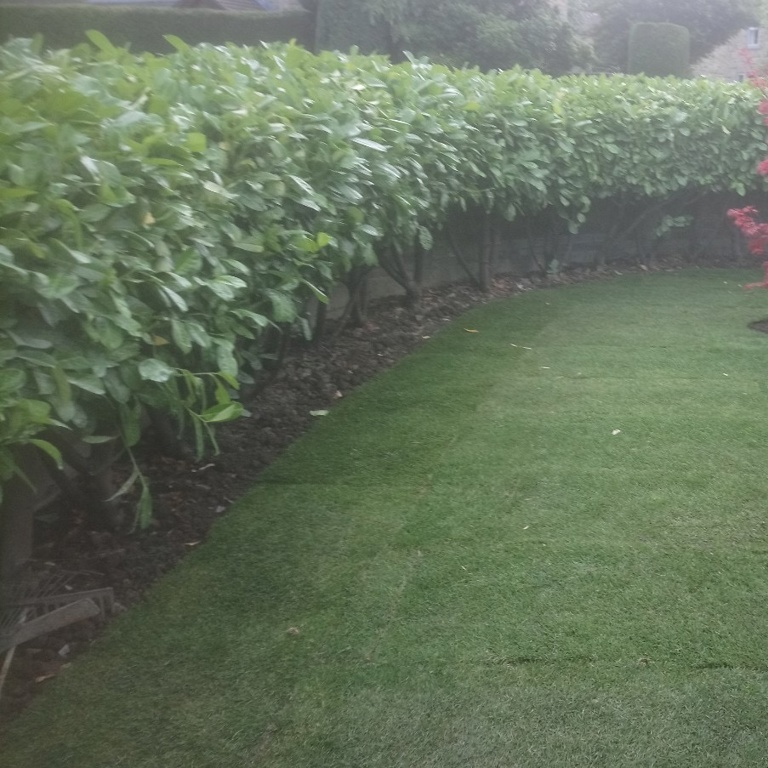 Stone path and new lawn at front of house