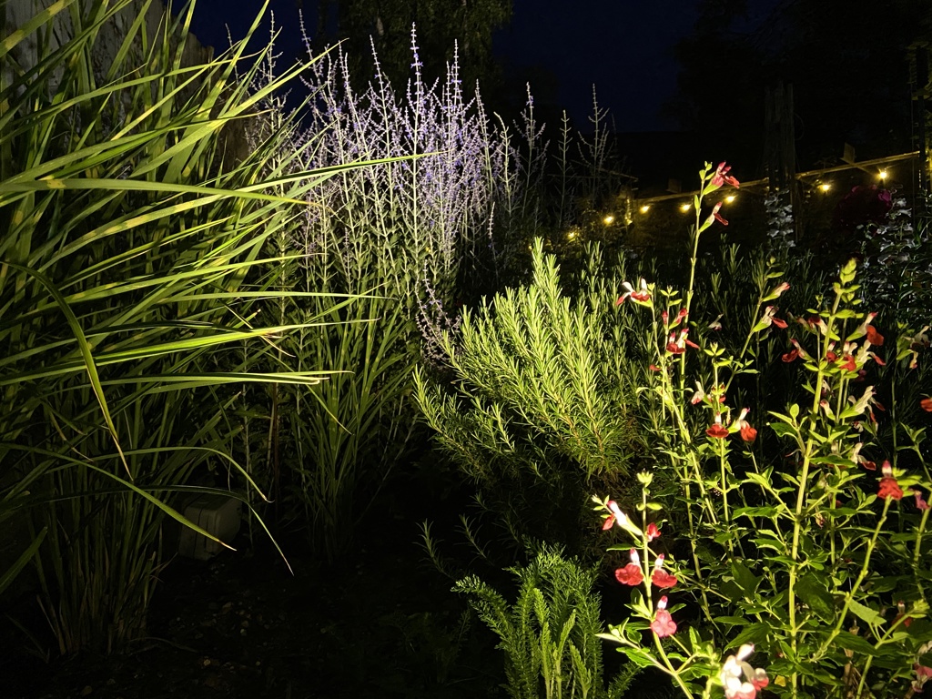 Illuminated planting