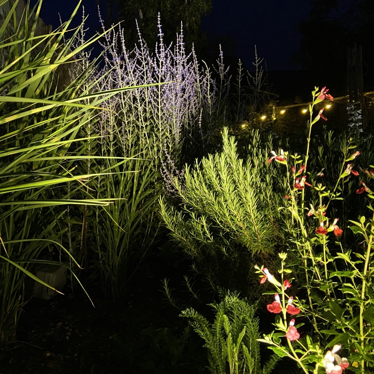 Illuminated planting