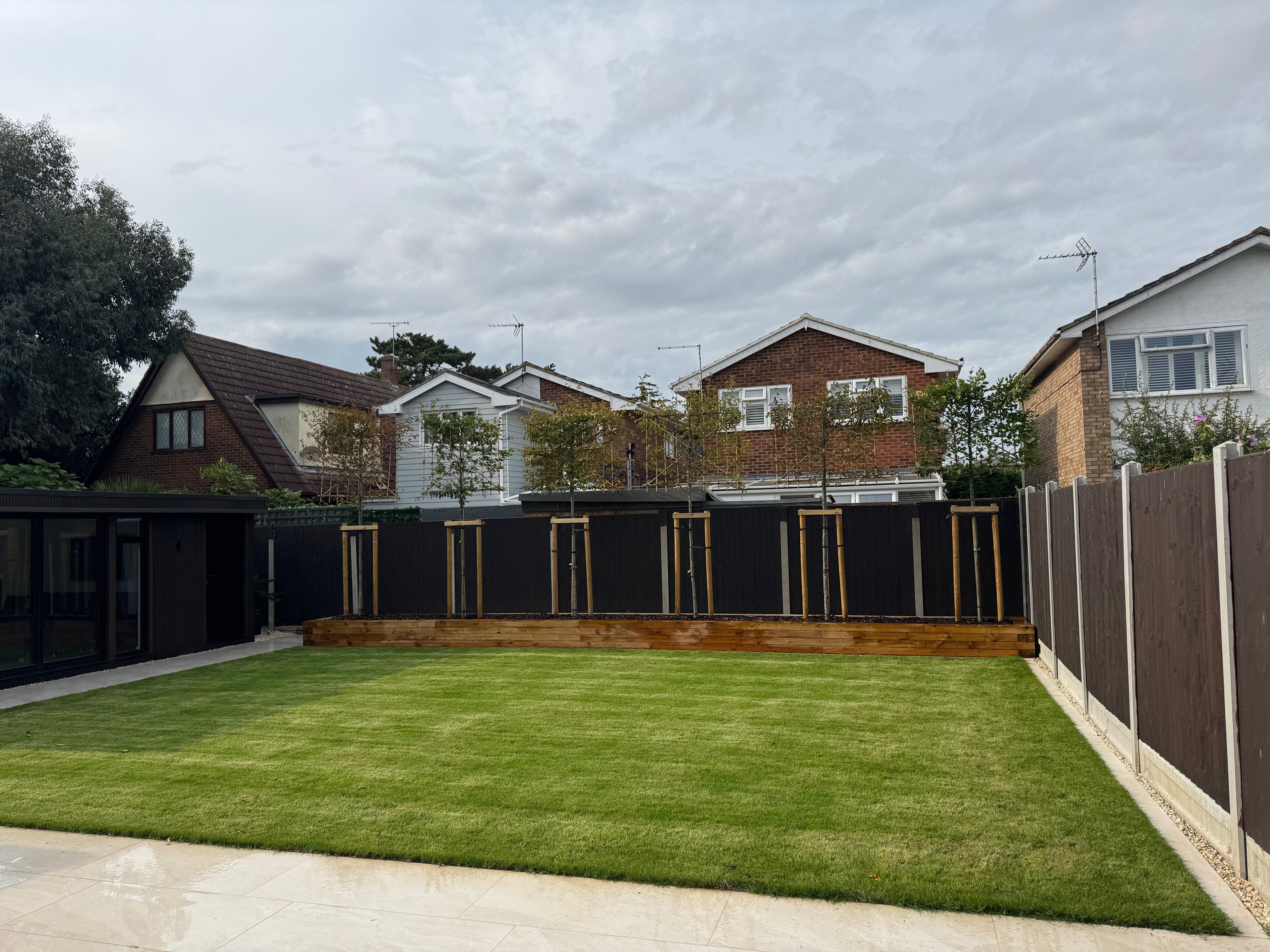 New lawn and pleached trees 