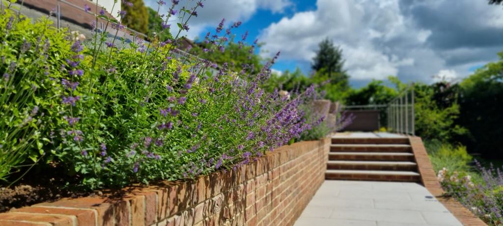 Planting borders