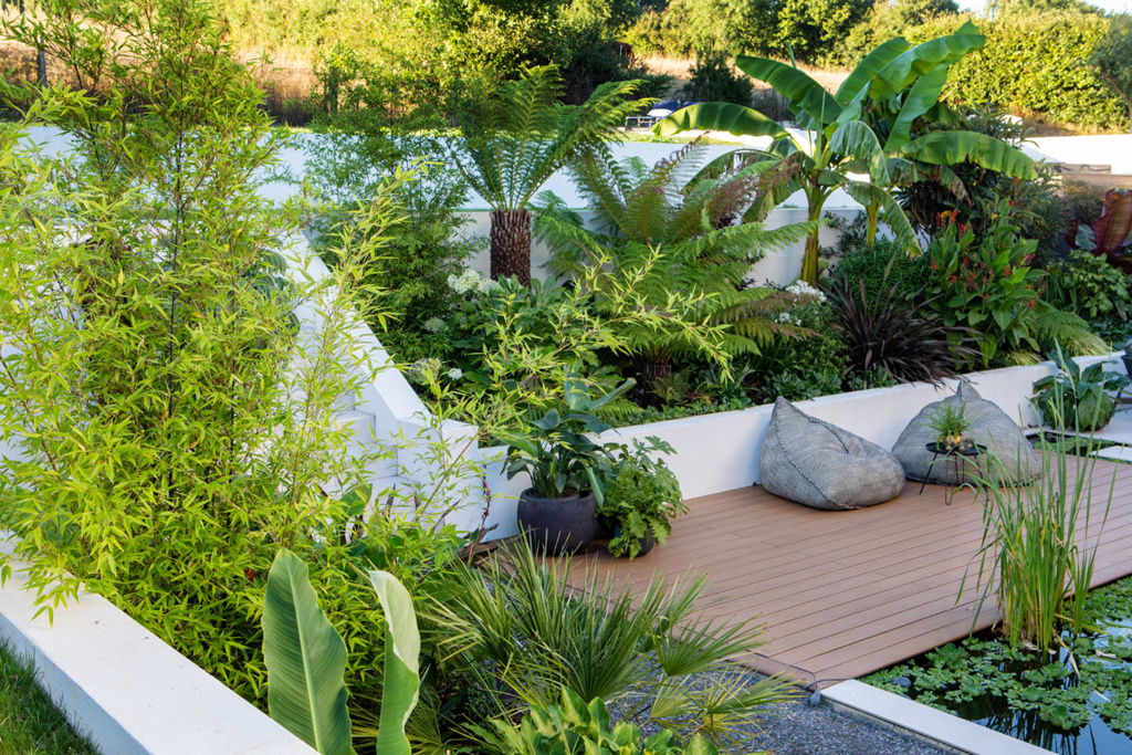 Around the world in 80 plants