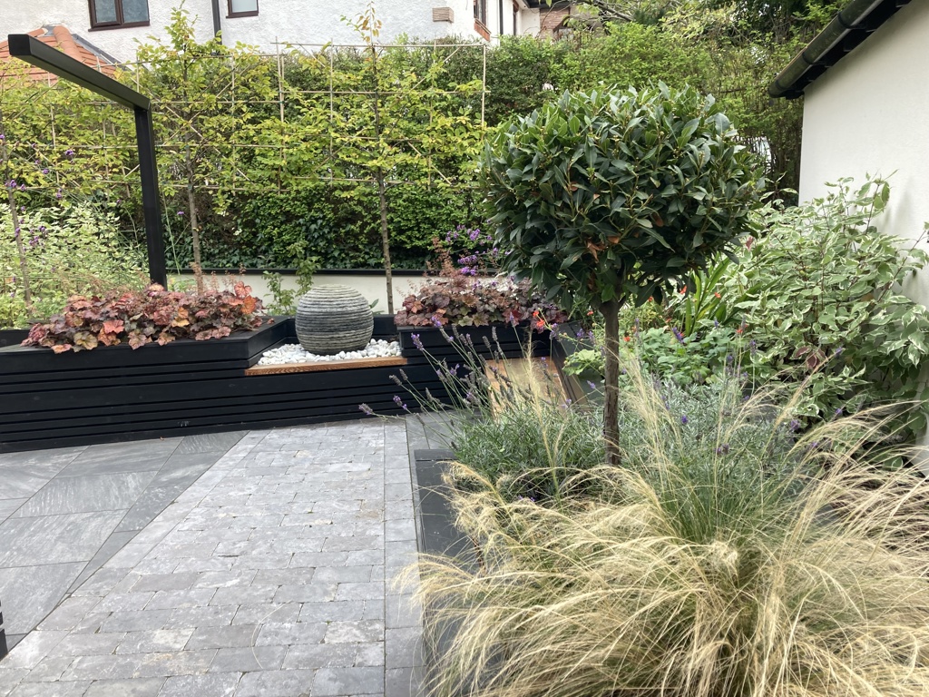 A contemporary courtyard garden with wheelchair accessibility