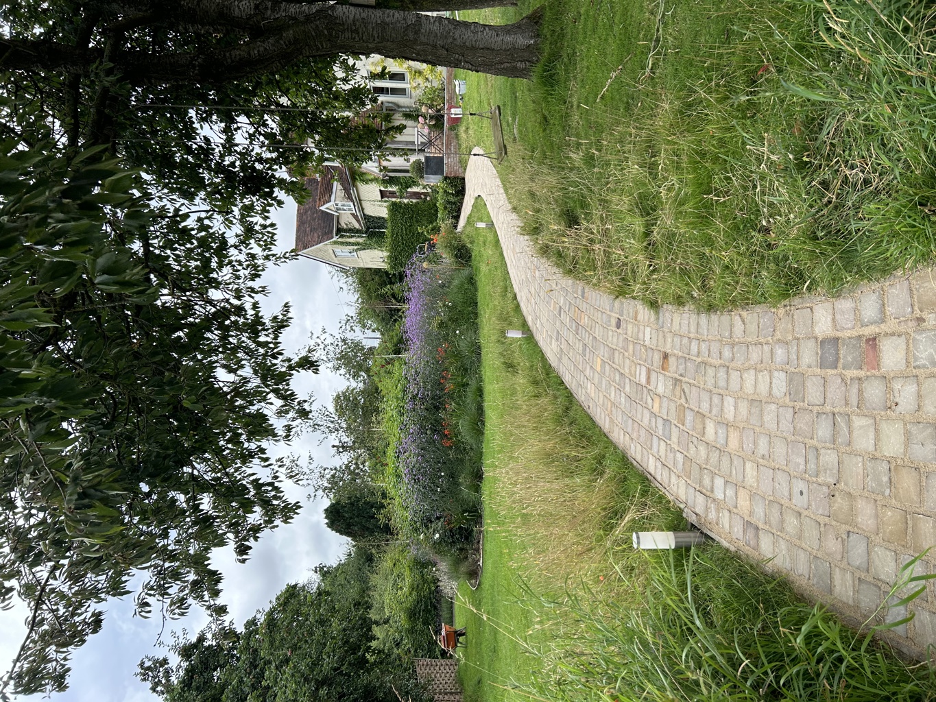 Winding Cottage Garden Path with Wildflowers