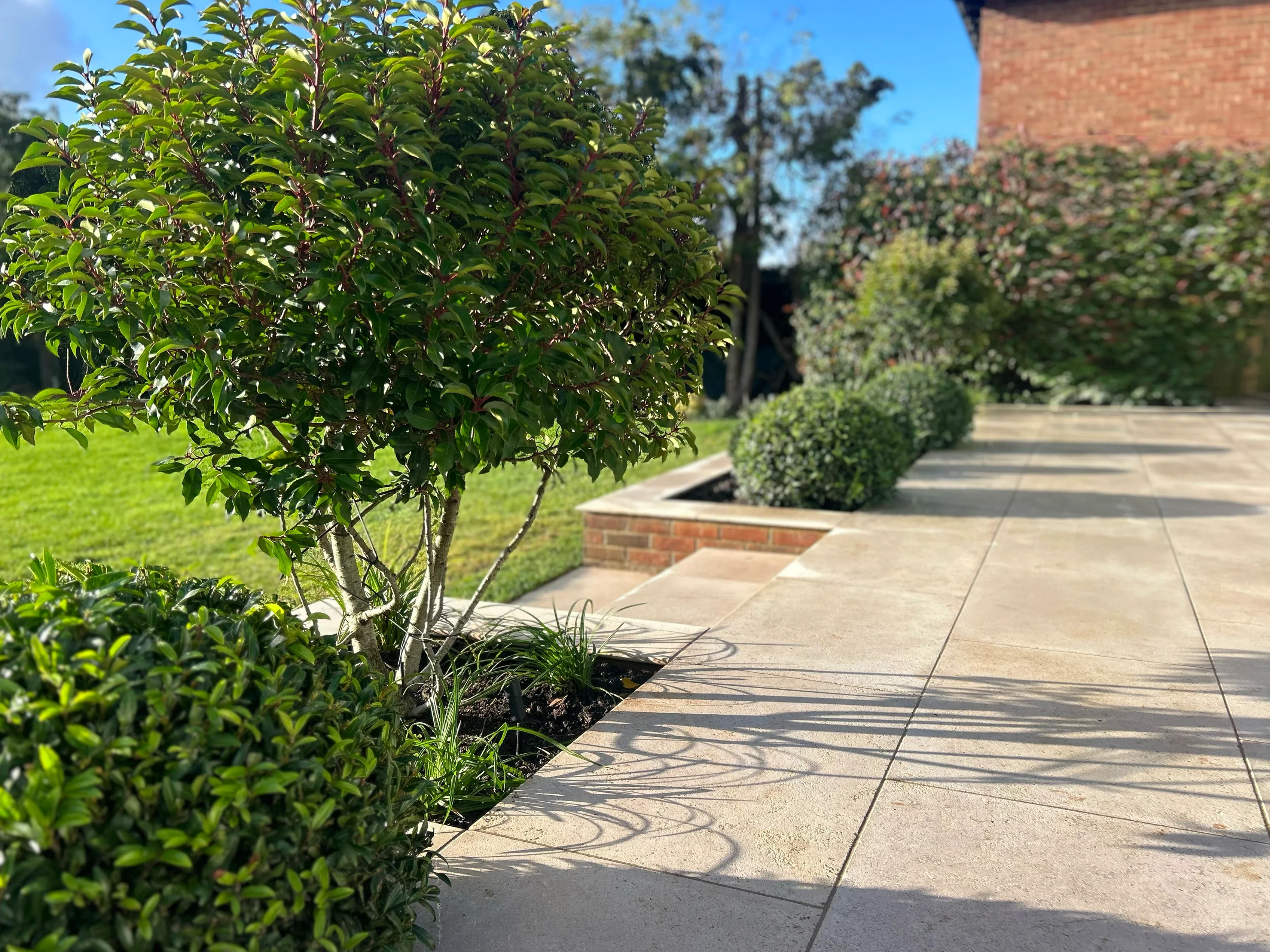 Egyptian limestone patio