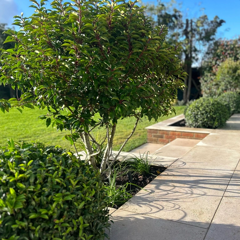 Egyptian limestone patio