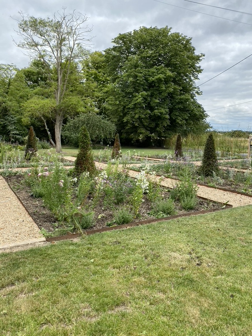 raised beds