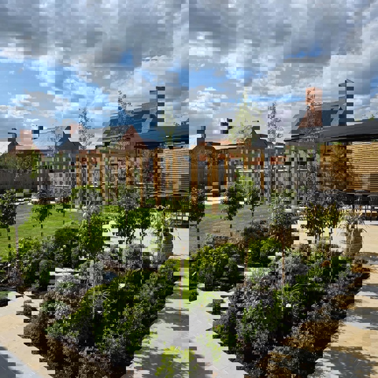 View from the kitchen