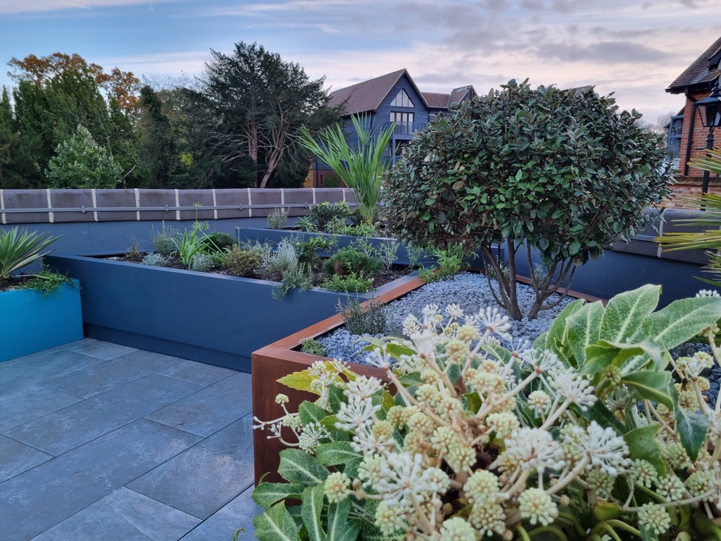 The Contemporary Rooftop Garden