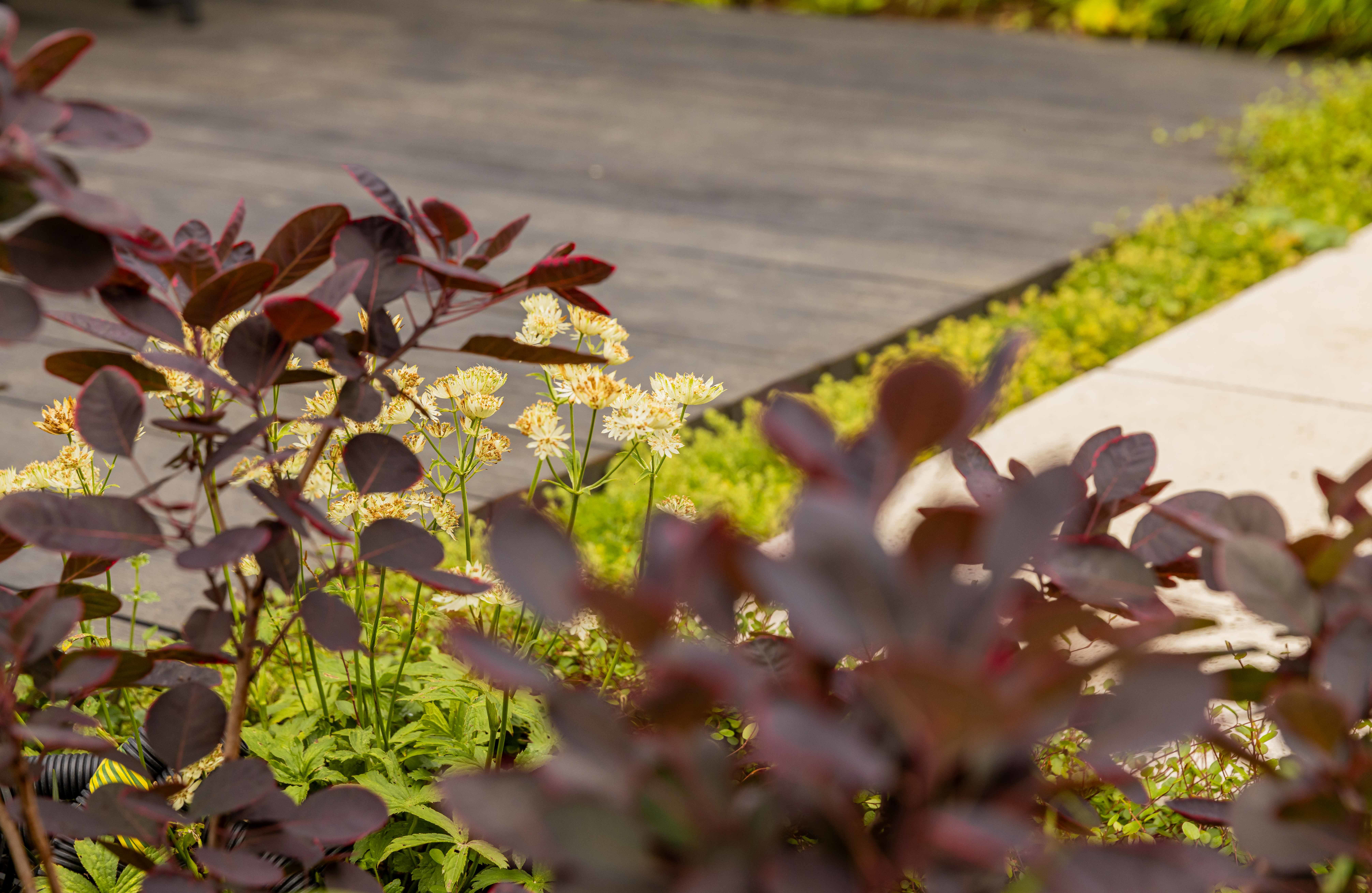 Various paving materials working in harmony